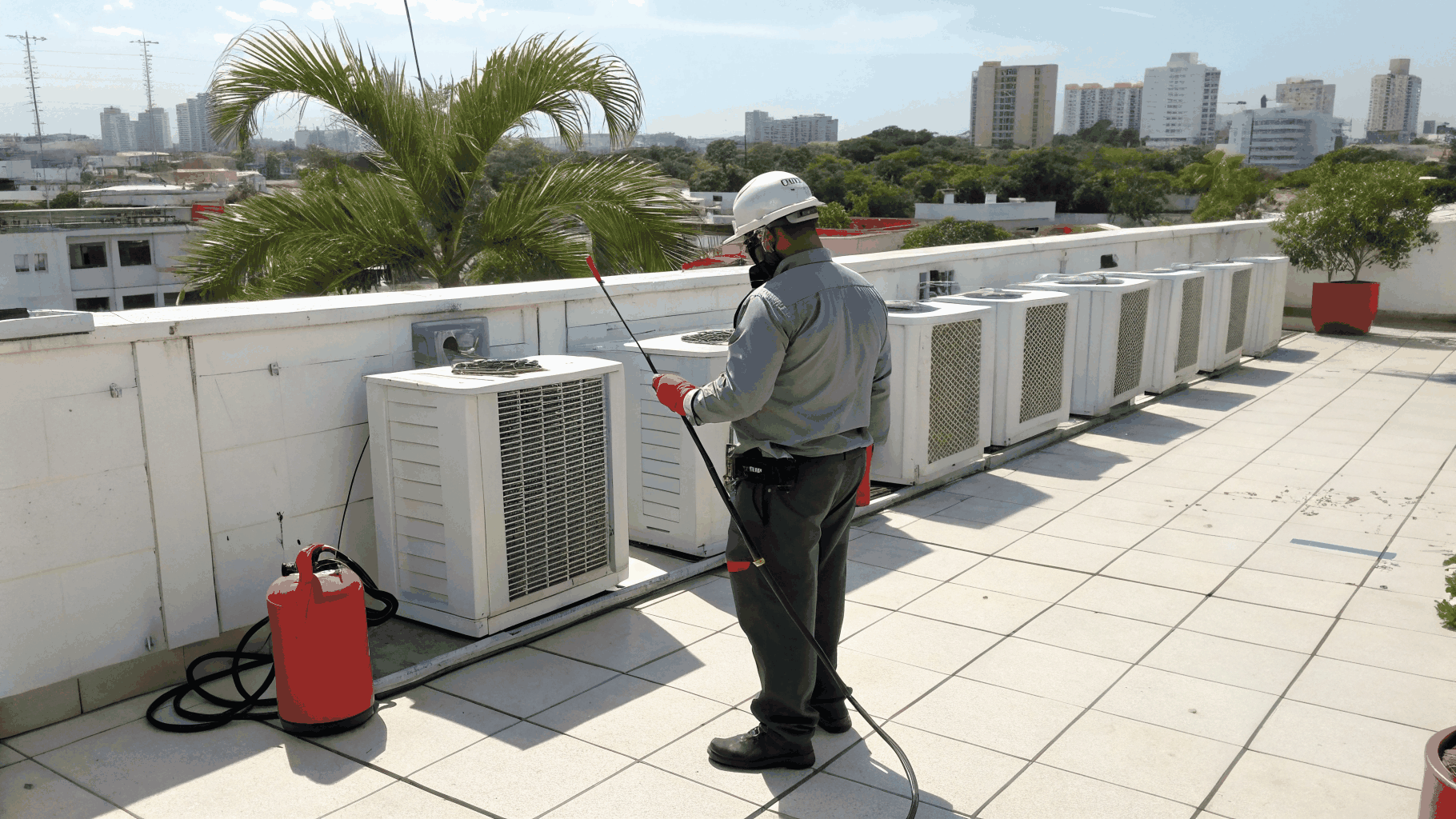 Mosquito reduction spray in Cape Coral