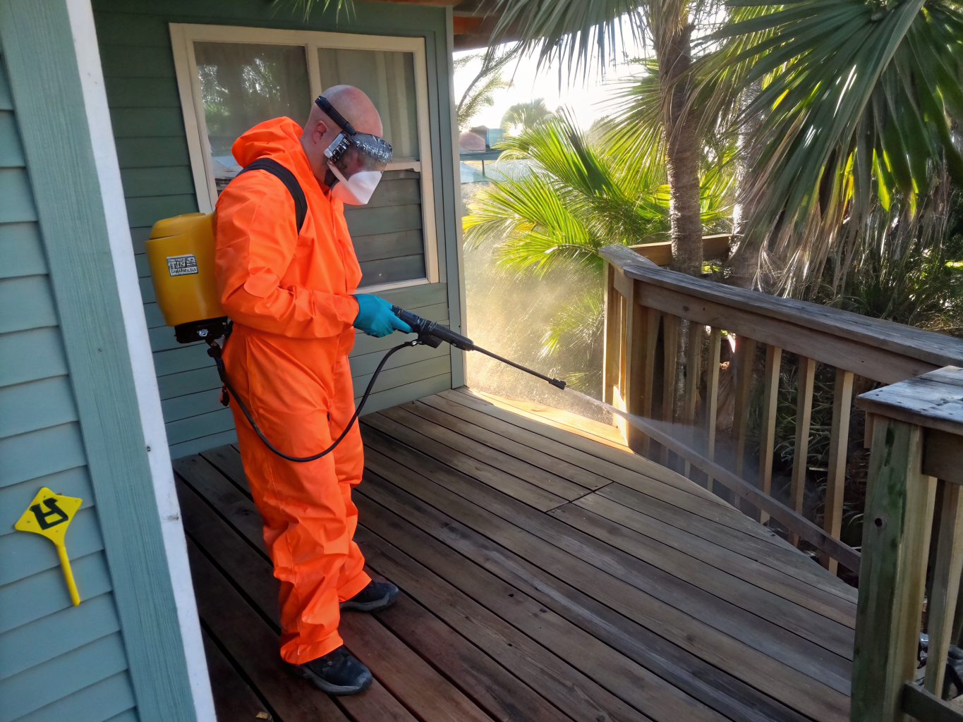 Port Charlotte Termite Treatments